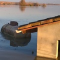 Esondazione-Po-41